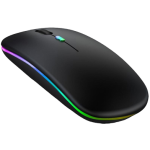 Aptech Wireless Rechargeable Silent and Bluetooth RGB Mouse - W61
